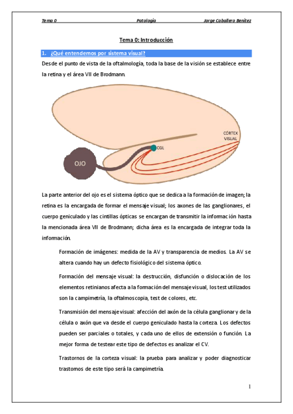 Miniatura del documento Tema 0 - Introducción.pdf