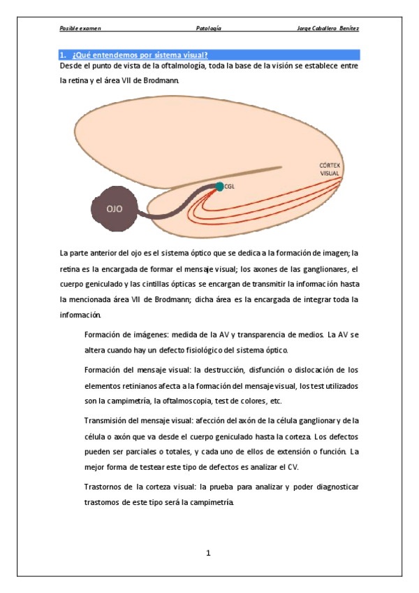 Miniatura del documento EXAMEN.pdf