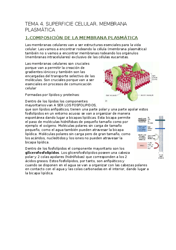 Miniatura del documento TEMA-4.docx