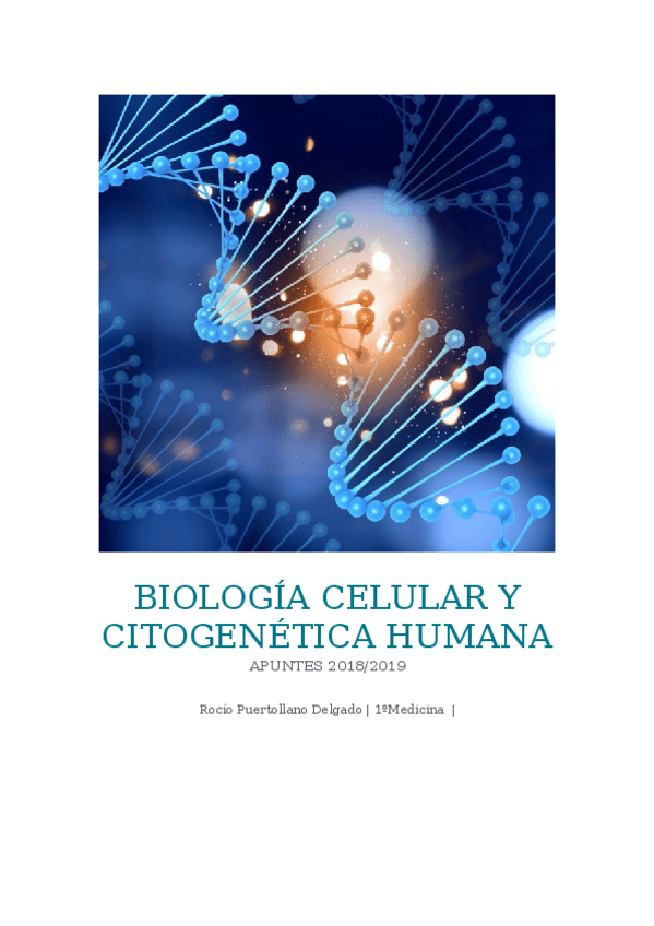 Miniatura del documento APUNTES-BIOLOGIA-CELULAR-Y-CITOGENETICA-HUMANA-2018-2019.docx