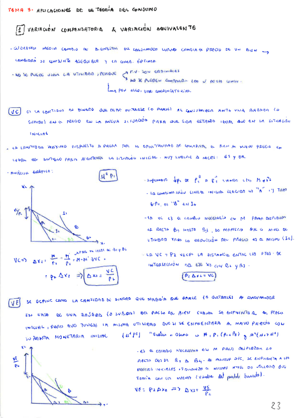 Miniatura del documento Tema-3-Micro-III.pdf