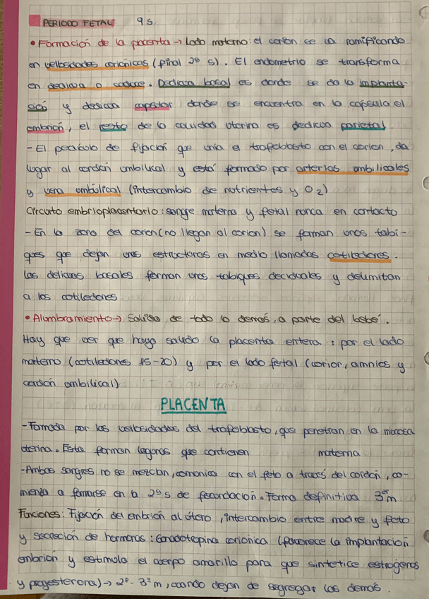 Miniatura del documento 9A56ECAF-2C6E-41F3-BB01-A1AA3ABB7B85.jpg