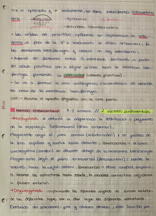 Miniatura del documento 6BEFA926-B1D6-4D35-AC0B-4364009CCC91.jpg