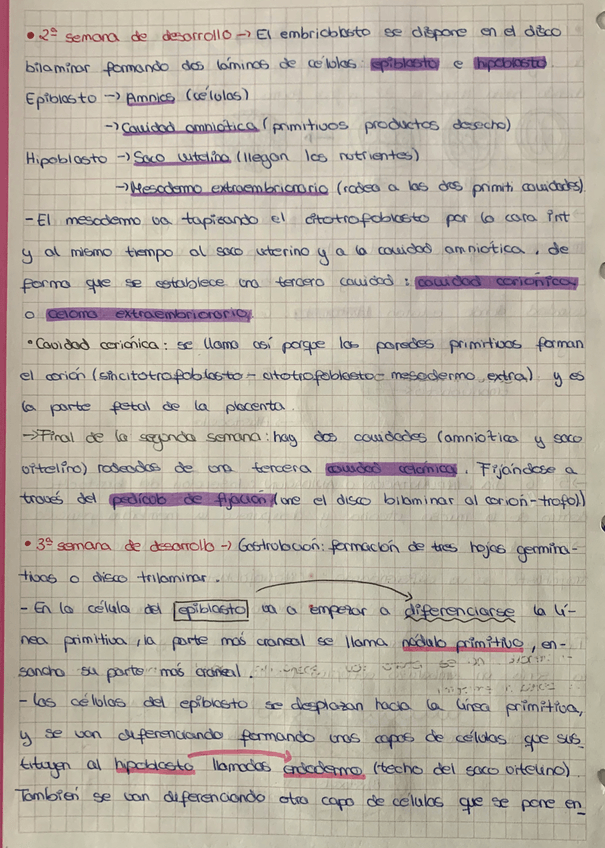 Miniatura del documento F8CCEA08-6E43-4A32-A376-82F5D1A66A5F.jpg
