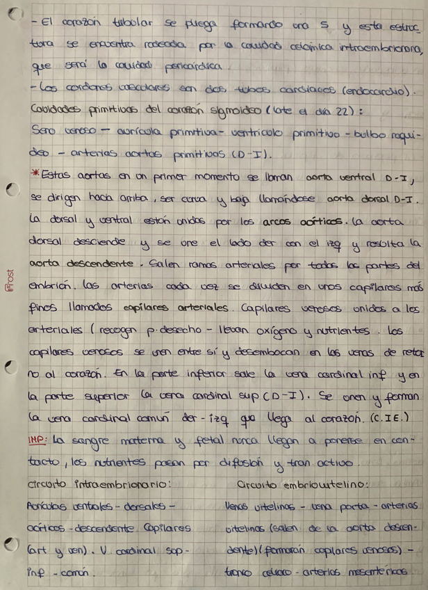 Miniatura del documento AFA5DC08-EF39-4740-BBE4-CD7117C9E5FB.jpg