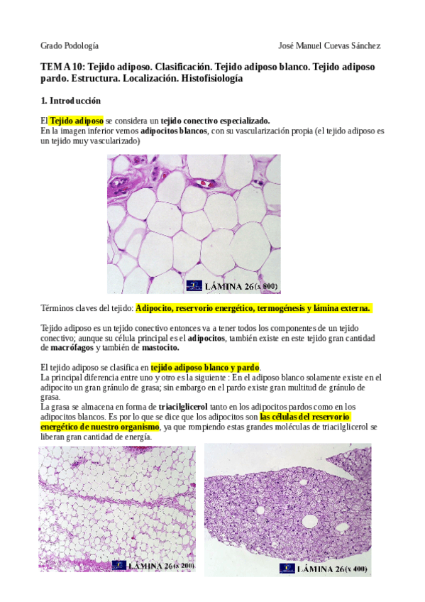 Miniatura del documento TEMA-10.pdf