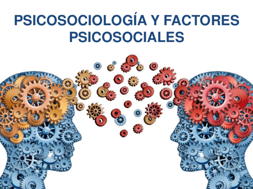 Miniatura del documento 11.pdf