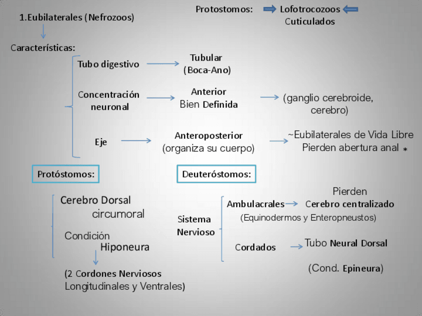 Miniatura del documento fauna-t-3.pdf