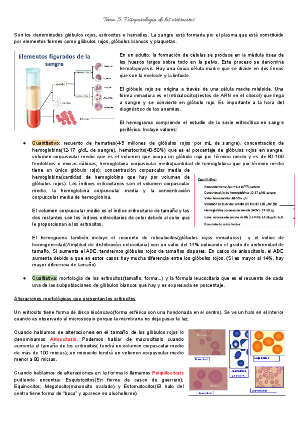 Miniatura del documento Bloque-2.pdf