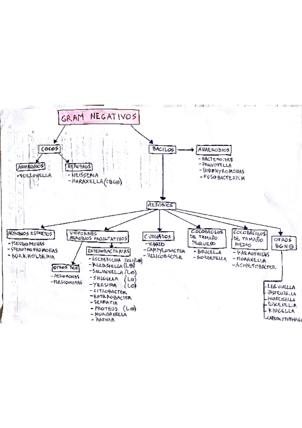 Miniatura del documento Tipo test típico.pdf
