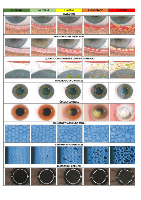 Miniatura del documento TABLA-DE-EFRON.pdf
