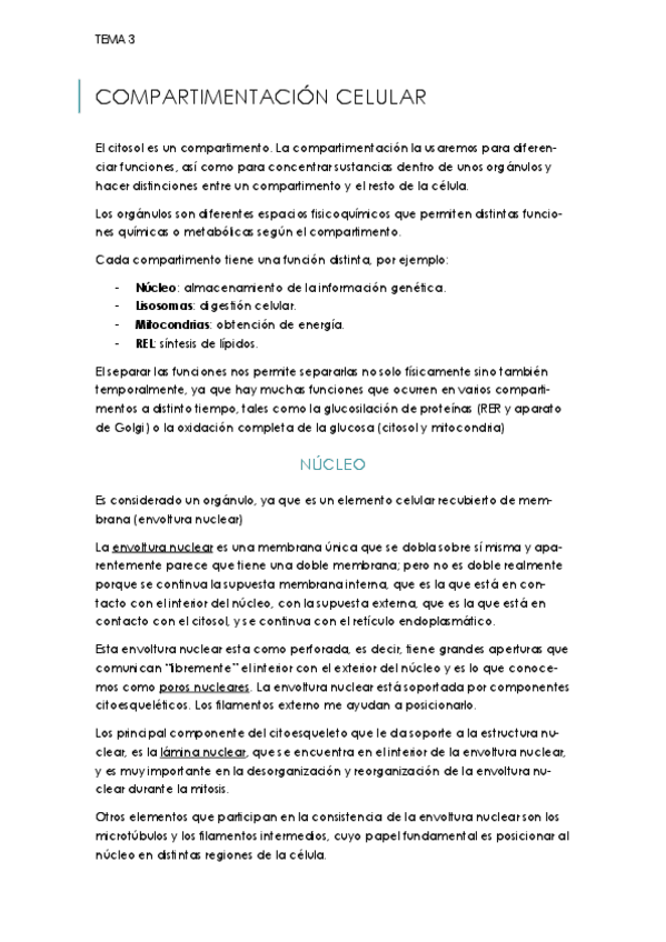 Miniatura del documento TEMA-3.pdf