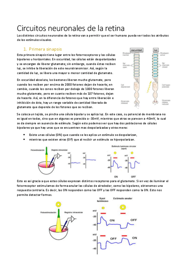 Miniatura del documento tema-6.pdf