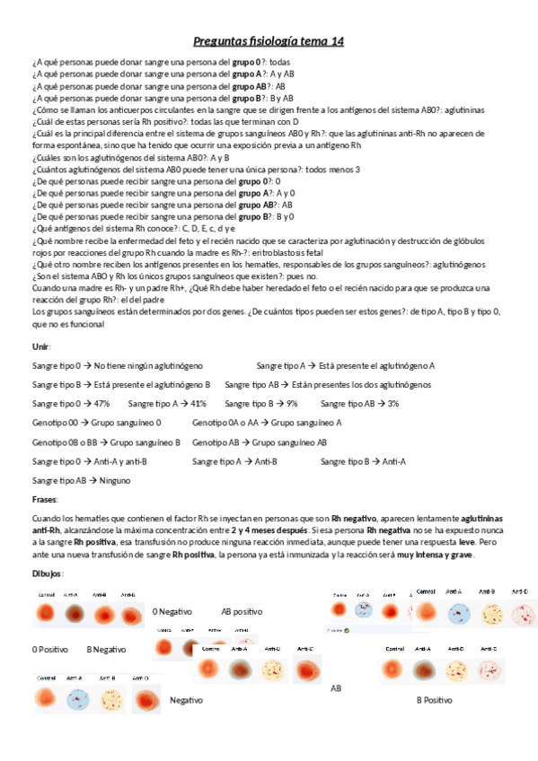 Miniatura del documento Preguntas-fisiologia-tema-14.pdf