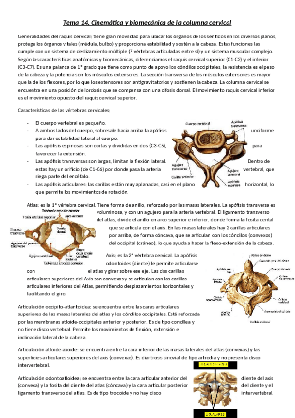 Miniatura del documento Tema-14.pdf