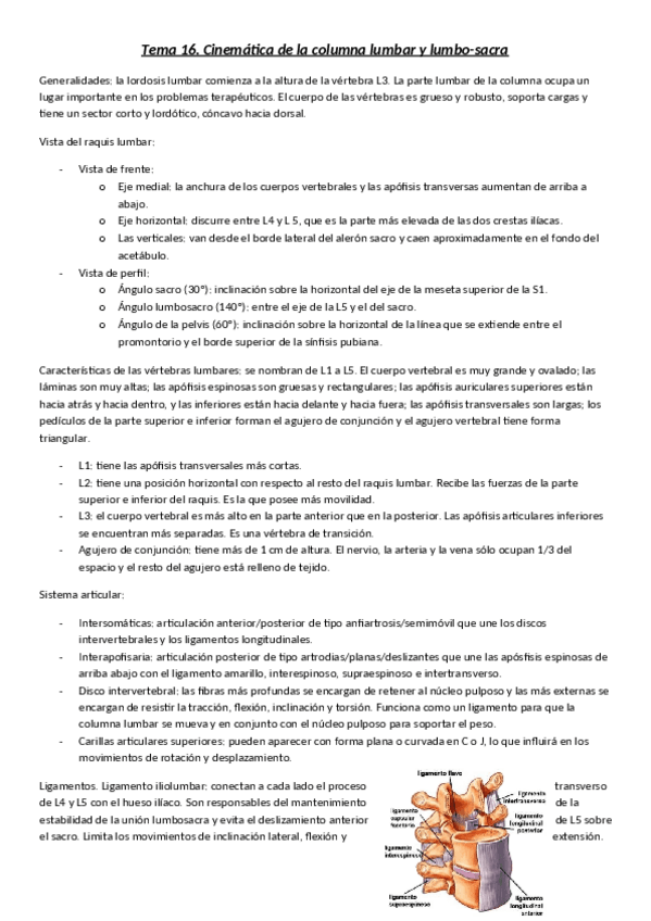 Miniatura del documento Tema-16.pdf