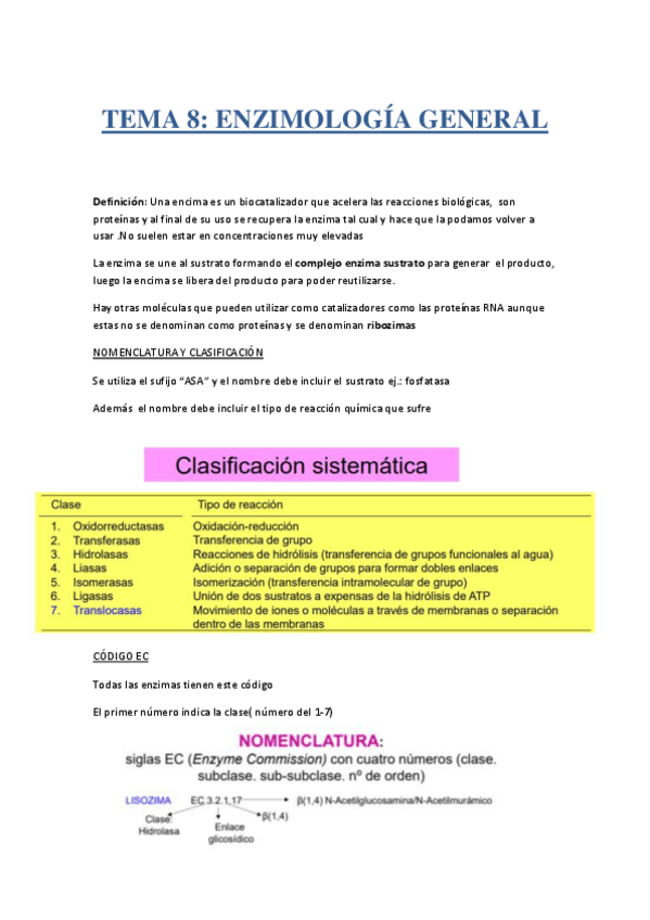 Miniatura del documento tema-8-enzimologia-genral.pdf
