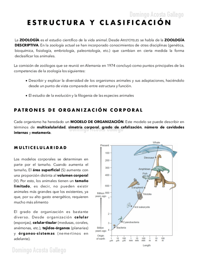 Miniatura del documento Estructura-y-Clasificacion-.pdf