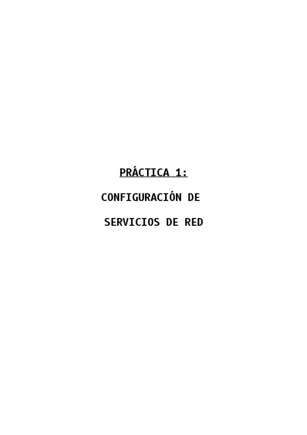 Miniatura del documento P1.pdf