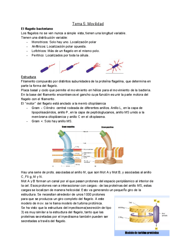 Miniatura del documento Tema-5-Movilidad.pdf