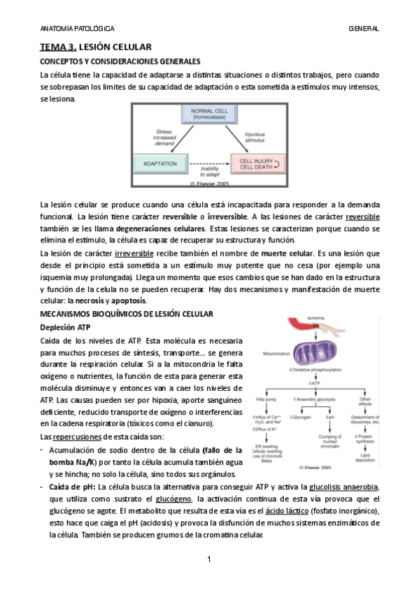 Miniatura del documento Tema-3.pdf