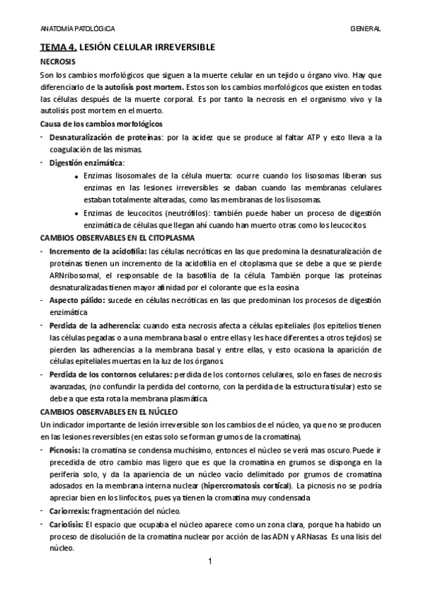 Miniatura del documento TEMA-4.pdf