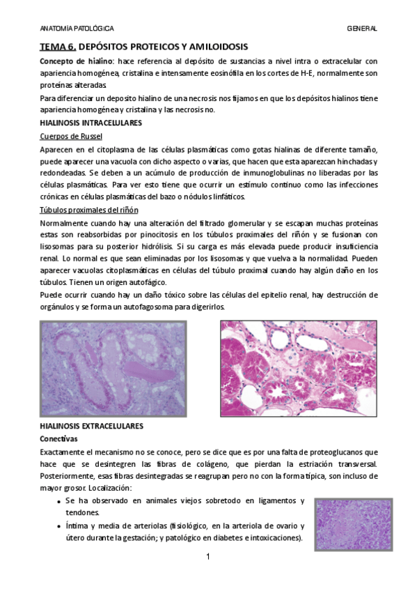 Miniatura del documento TEMA-6.pdf