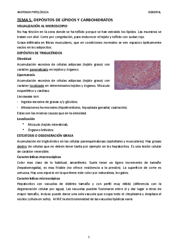 Miniatura del documento Tema-5.pdf