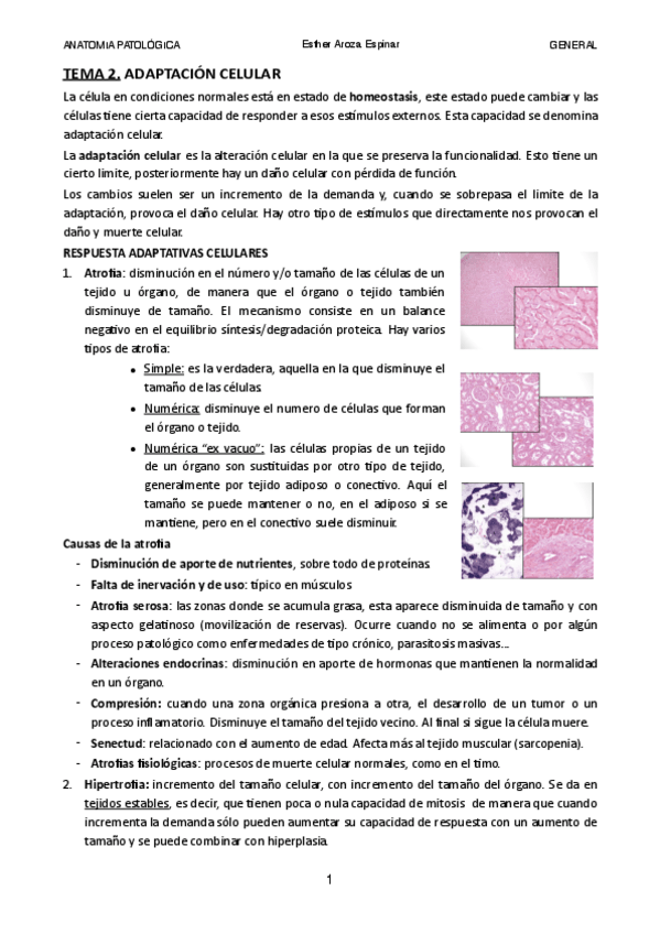 Miniatura del documento Tema-2.pdf