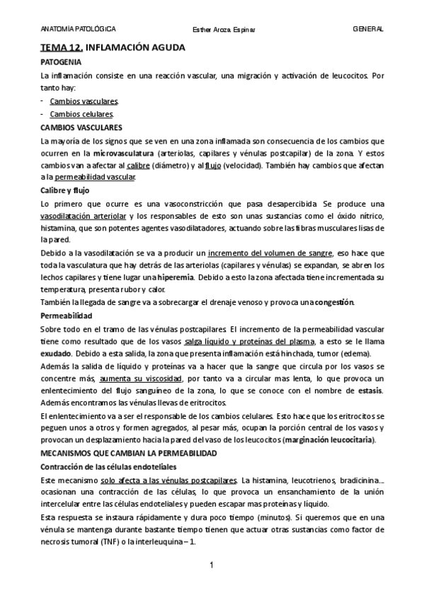 Miniatura del documento TEMA-12-APG-OFI.pdf