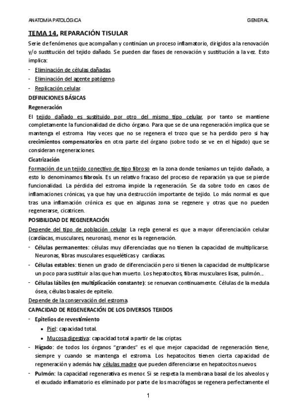 Miniatura del documento TEMA-14.pdf
