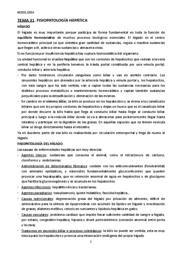 Miniatura del documento TEMA-31.pdf