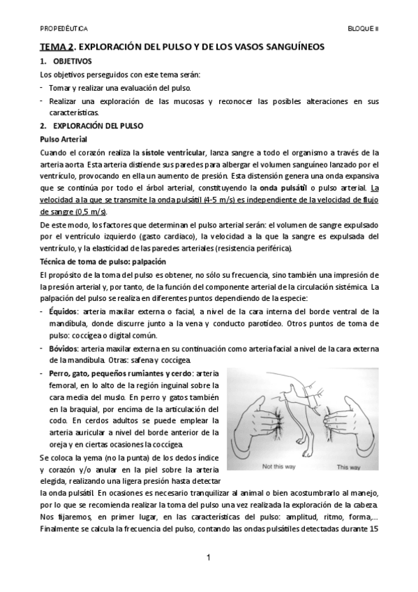 Miniatura del documento TEMA-2.pdf