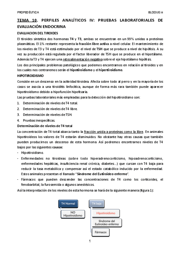 Miniatura del documento TEMA-10.pdf