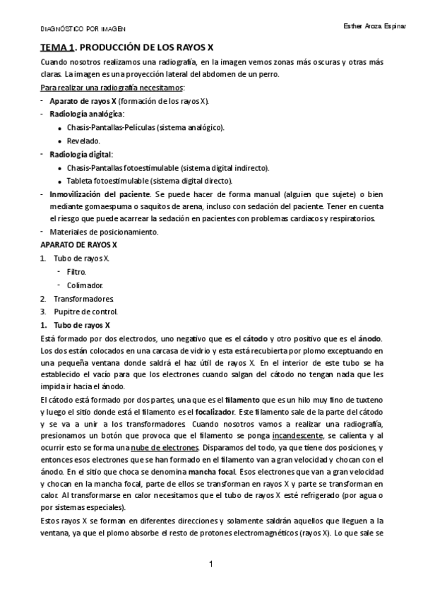 Miniatura del documento TEMA-1.pdf