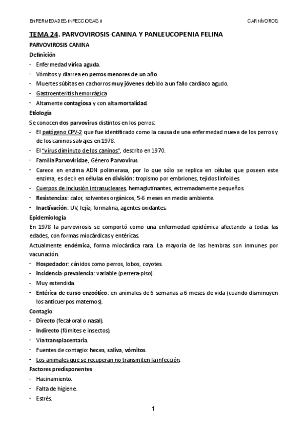 Miniatura del documento TEMA-24.pdf