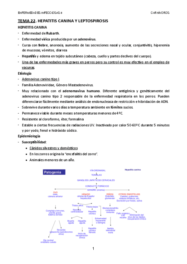 Miniatura del documento TEMA-22.pdf