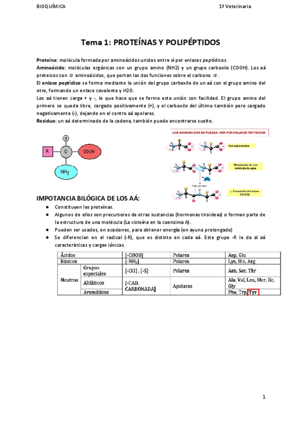 Miniatura del documento Bioquímica 1º cuatri