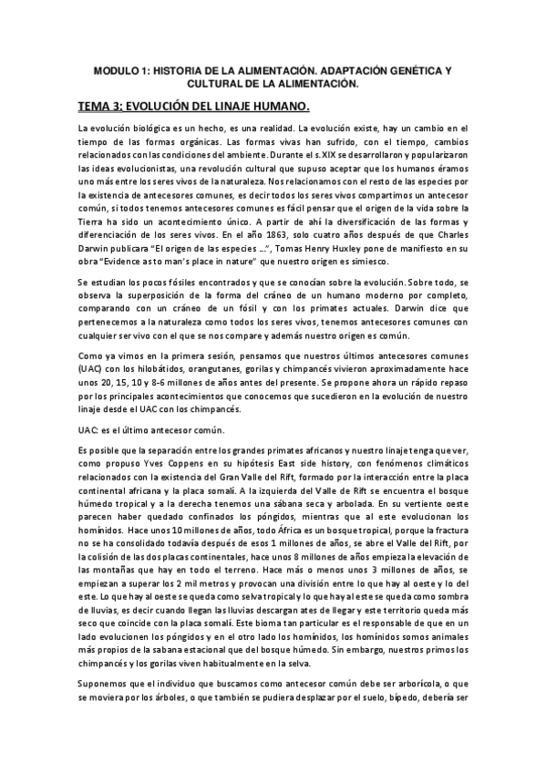 Miniatura del documento tema-3-antropologia.pdf