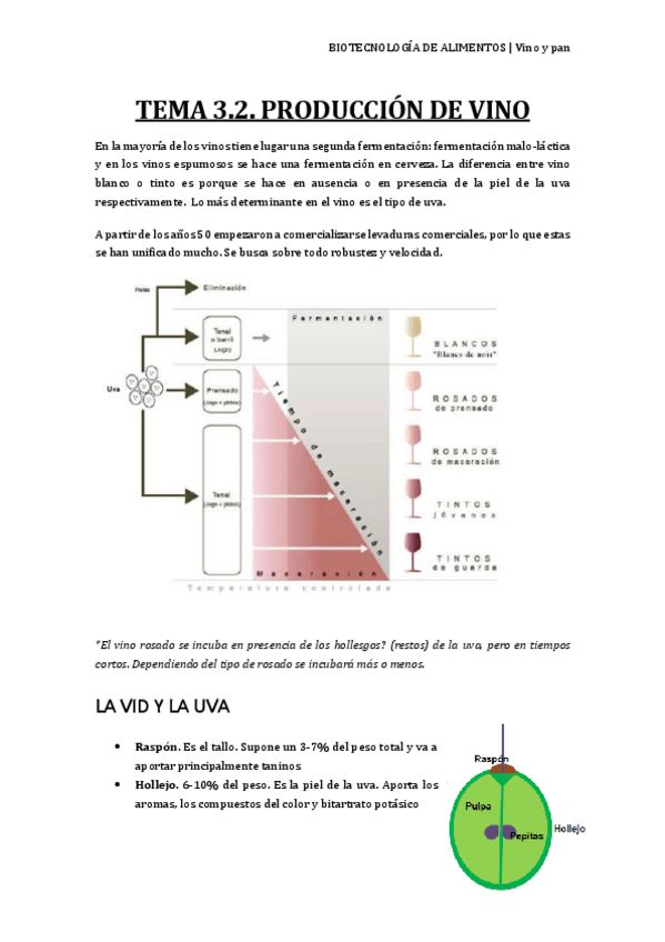 Miniatura del documento Vino-y-pan.pdf