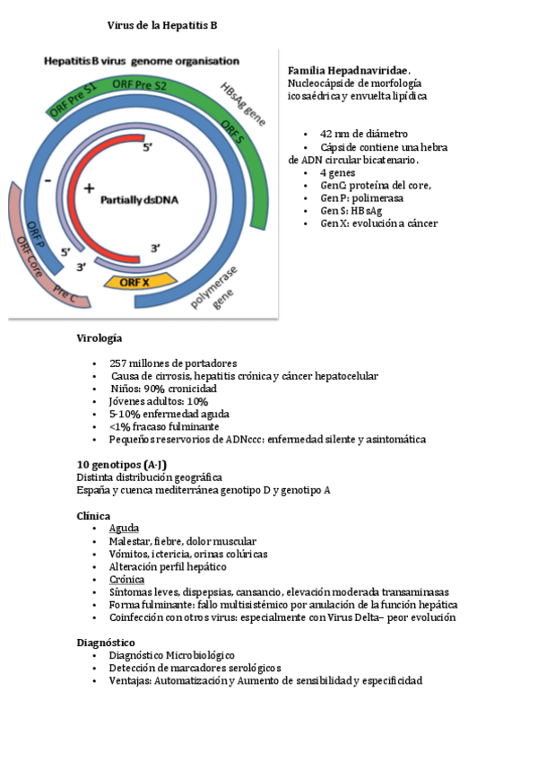 Miniatura del documento Tema-18.pdf