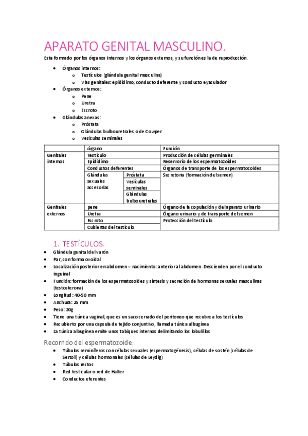 Miniatura del documento APARATO-GENITAL-MASCULINO.pdf