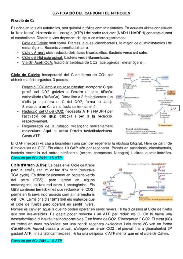 Miniatura del documento 3.pdf
