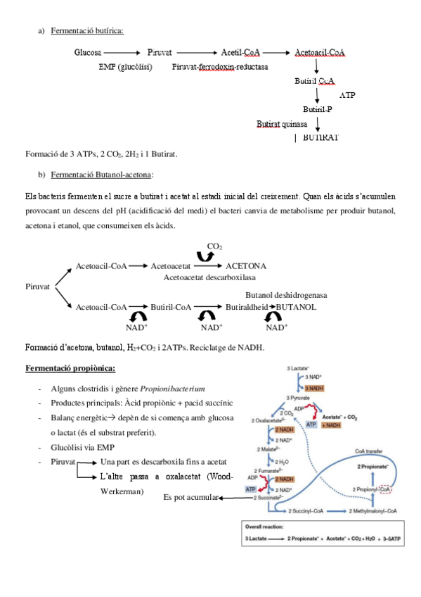Miniatura del documento 3.pdf