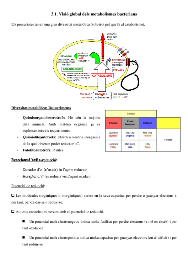 Miniatura del documento MICRO-2n-parcial.pdf