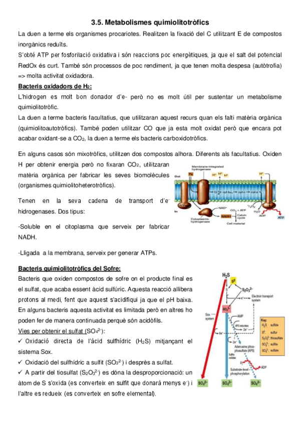 Miniatura del documento 3.pdf