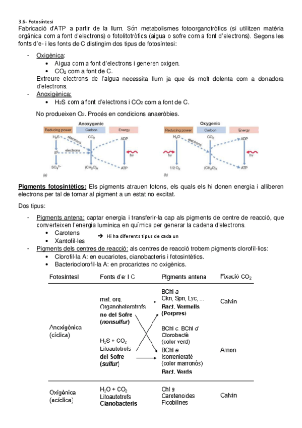 Miniatura del documento 3.pdf