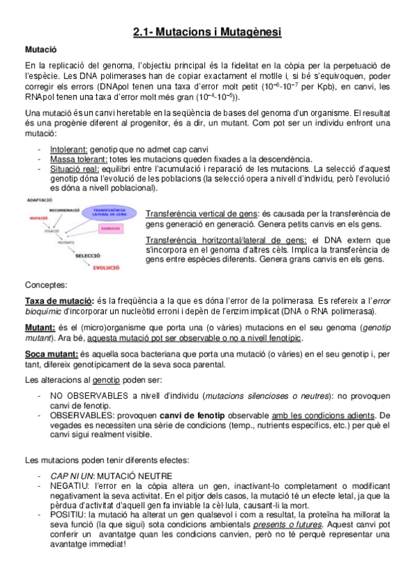 Miniatura del documento 2.pdf