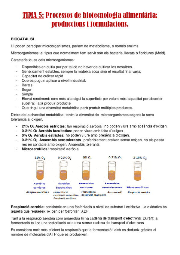 Miniatura del documento TEMA-5.pdf