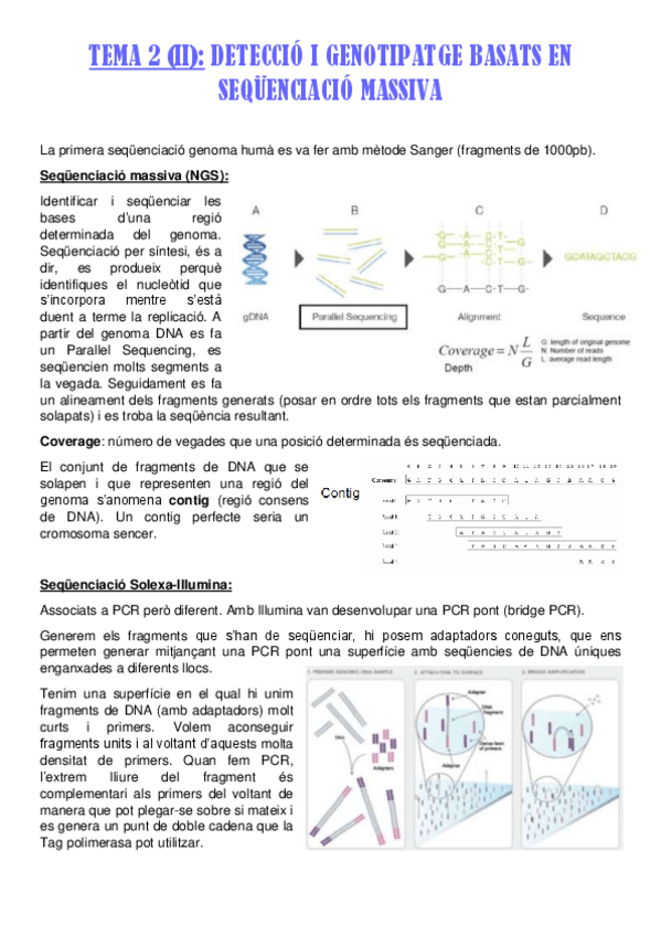 Miniatura del documento TEMA-2-II.pdf